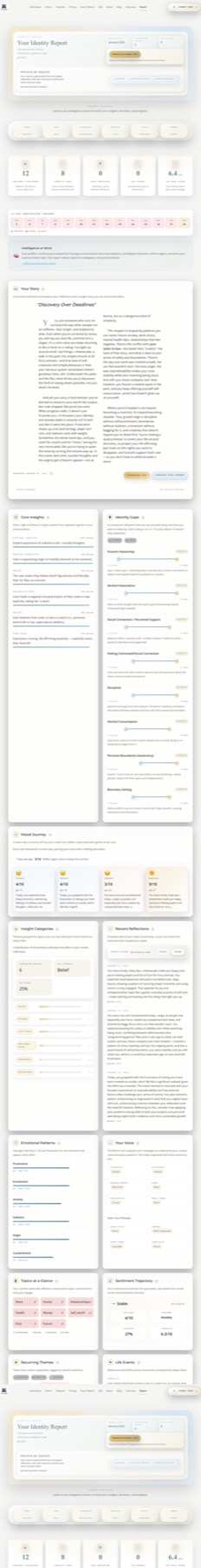 Identity Report showing insights, gaps, and mood trends